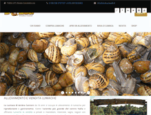 Tablet Screenshot of lalumacaweb.it